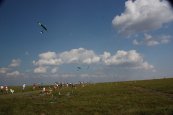 img_2095 img_2095