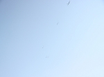 img_2060