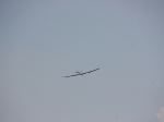 img_2076