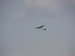 img_2077