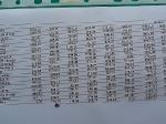 vysledky-touzim-2010